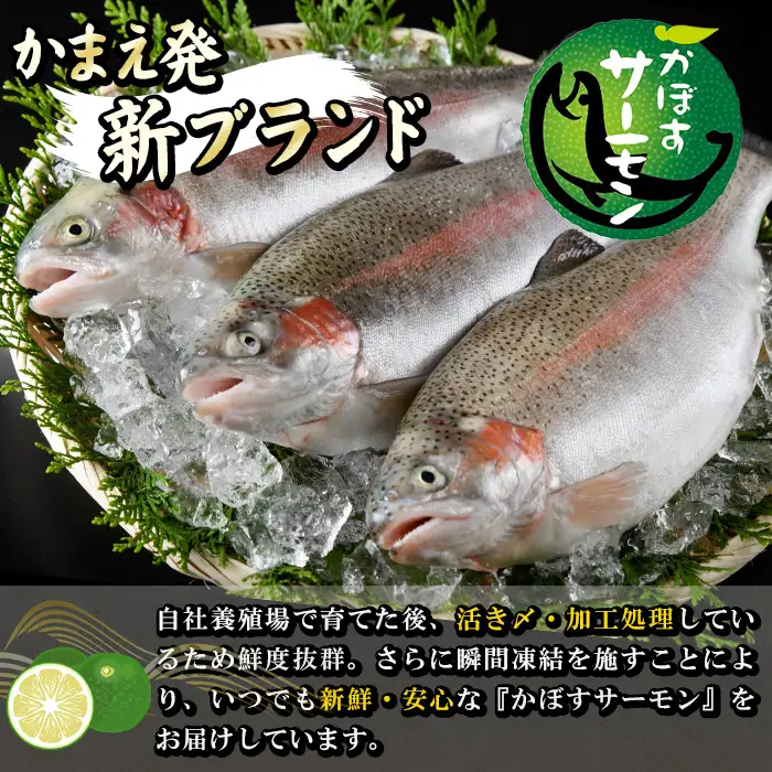 ＜期間限定＞ 大分 かぼすサーモン フィレ(350g以上) 魚 かぼす サーモン 刺身 冷凍 養殖 国産 個包装 大分県 佐伯市【EA32】【トーワ】