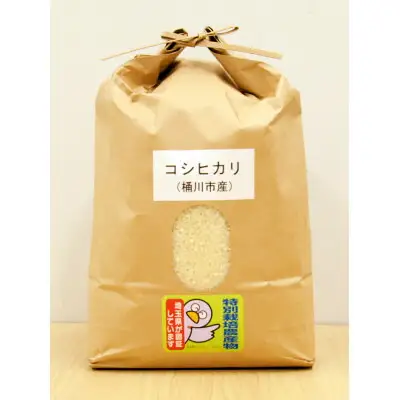 特別栽培米 コシヒカリ 5kg×2袋 合計 10kg 桶川産