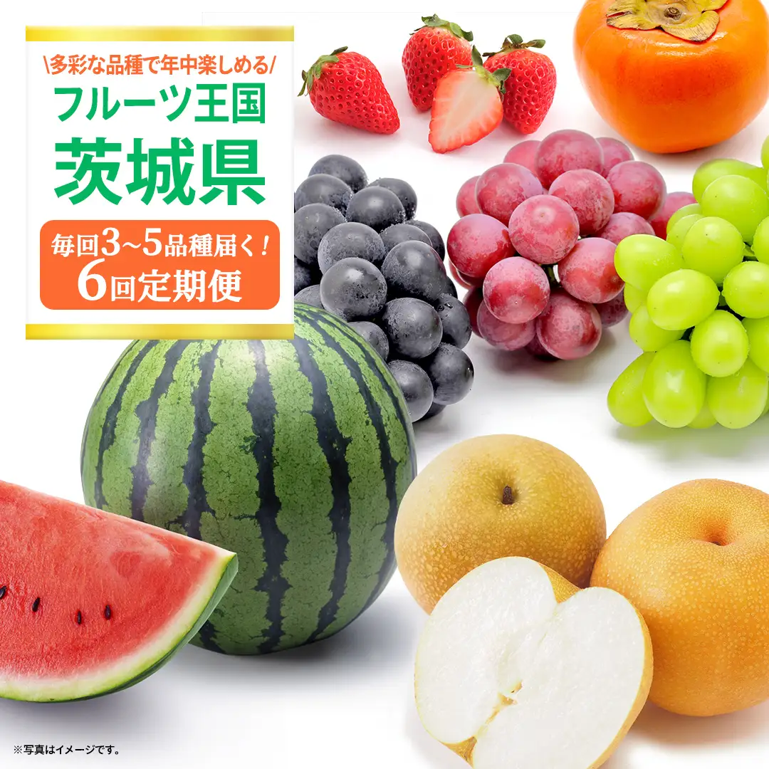 【定期便】フルーツセット（6回定期）（茨城県共通返礼品）