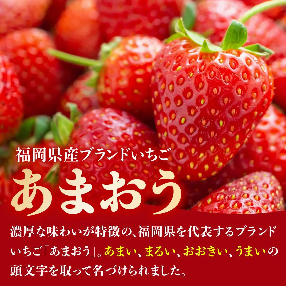 ＜定期便・全10回＞凍っても濃厚！冷凍 いちご 博多あまおう 1kg【やまや】
