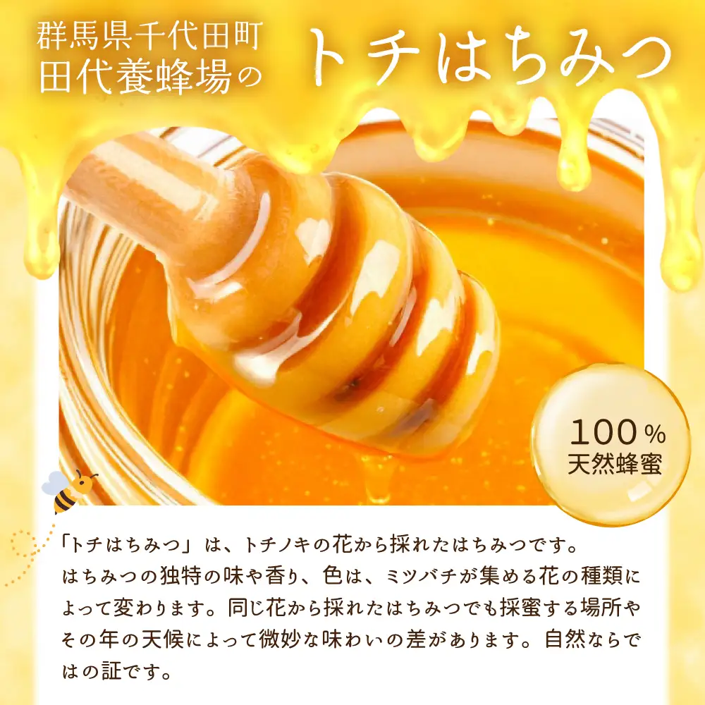 【2026年8月発送】はちみつ【千代田町の蜂蜜】500g「とち」はちみつ