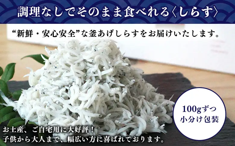＜老舗網元 濱田屋の釜あげしらす 計1.1kg（100g×11袋）＞『1か月以内に順次出荷予定』 減塩 数量限定 化粧箱 簡易包装 選べる 釜揚げ シラス じゃこ 海鮮 海産物 丼 小魚 乾物 小分け カルシウム 国産 マルヨシ水産 愛媛県 西予市【冷凍】AMS0018