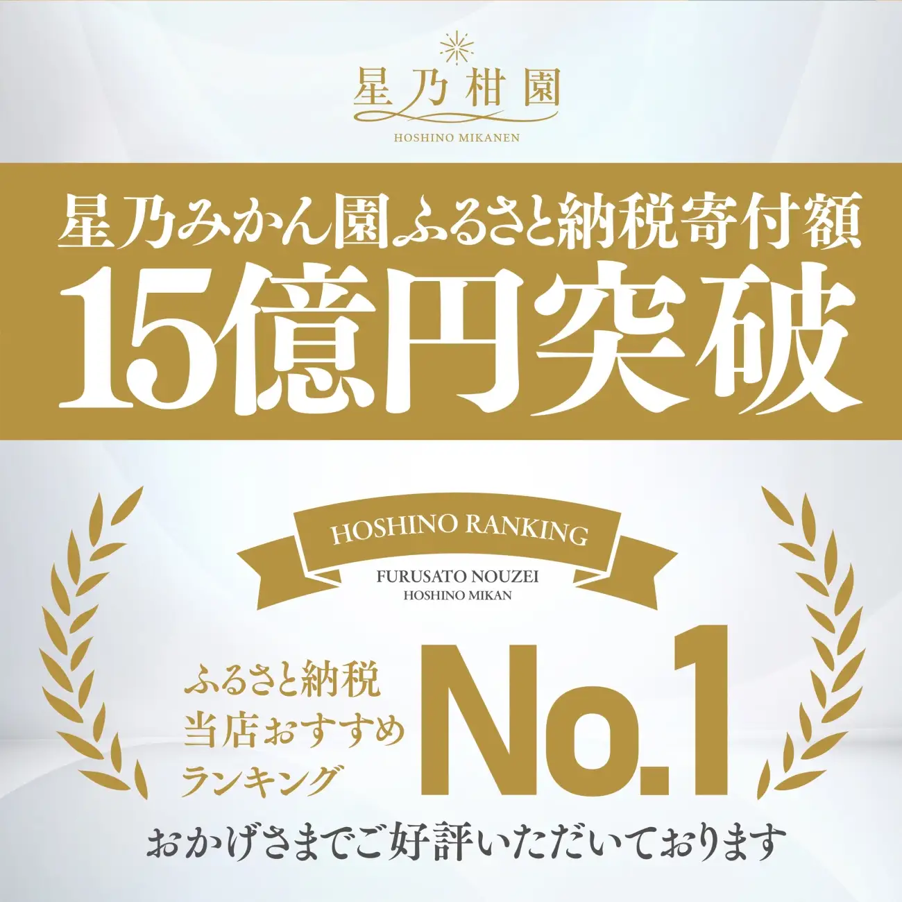 【先行受付】星乃みかん園の星乃みかん(10kg)【訳あり】【C45-64】【1339361】 YWTAZ027