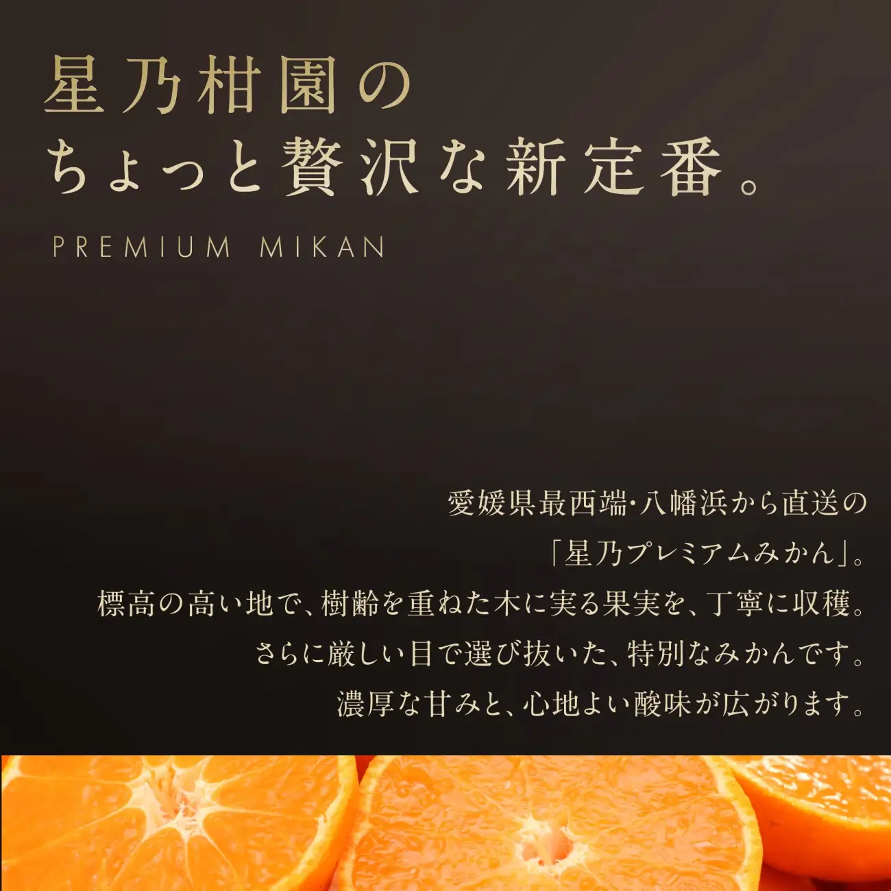 【先行受付】【三つ星ブランド】星乃みかんプレミアムシリーズ(3kg)【C45-94】【1625778】 YWTAZ056