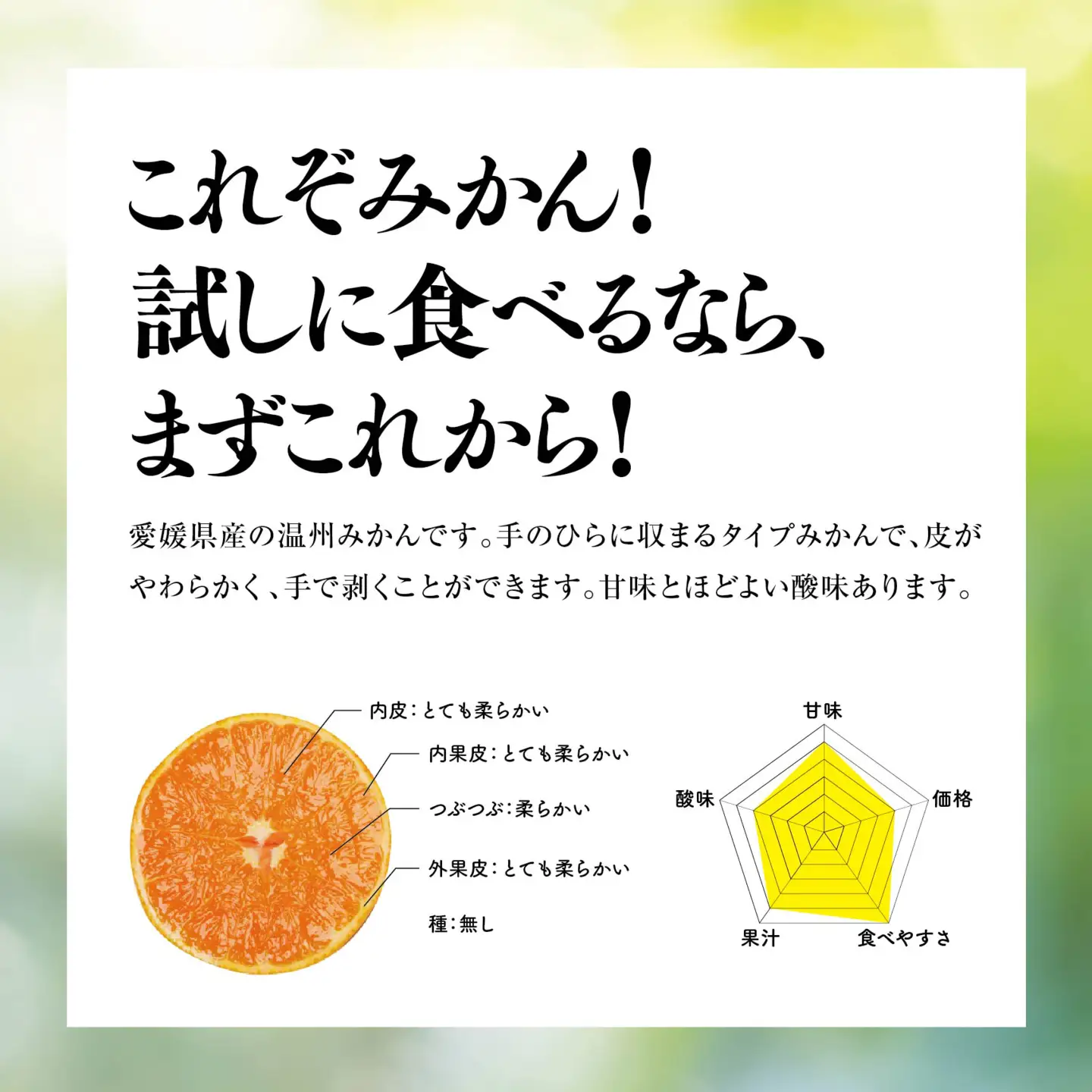 【先行受付】天空の果樹園から届く そらみかん (5kg)【訳あり】【A95-4】【1668469】 YWTAQ004