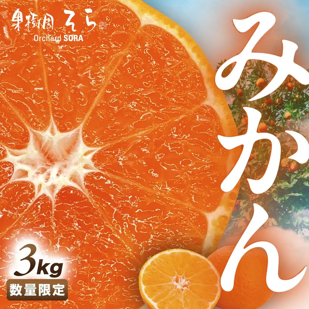 【先行受付】天空の果樹園から届くそらみかん (3kg)【A95-7】【1668512】 YWTAQ007