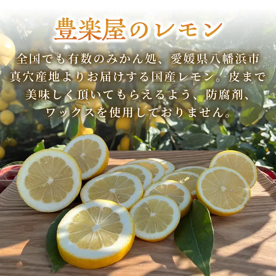 【先行受付】【防腐剤・ワックス不使用で安心】真穴産地直送の国産レモン 3kg(2Lサイズ 大玉)【C98-7】 YWTBU007