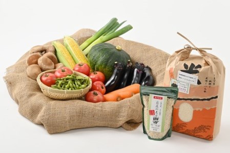 さくら市産の農産物詰め合わせDX 【道の駅きつれがわ】≪野菜 旬の野菜 米 白米 栃木県≫◇