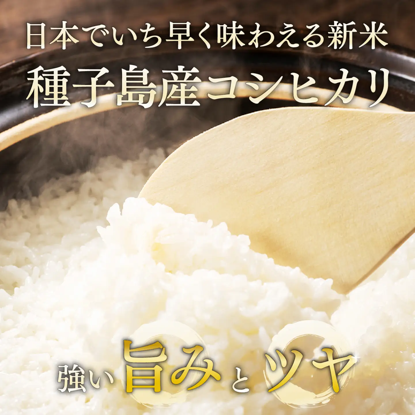 【先行予約】《令和8年産米 新米》 【8月上旬より順次発送予定】 種子島産コシヒカリ10kg（5kg×2）【新栄物産】