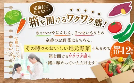 鹿児島県産 季節のお野菜詰め合わせ 10～12品目 野菜 詰め合わせ 新鮮 旬 新鮮野菜 AS-2258