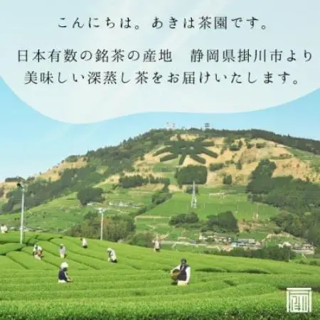 最高級煎茶「東山」100g×3袋セット 2026年度産【配送不可地域：離島・沖縄県】【1612198】