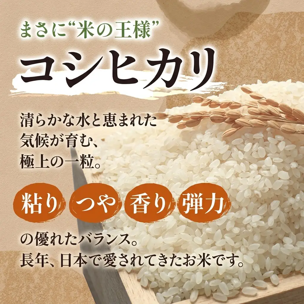 【令和7年産】静岡県産米 こしひかり 5kg 川島米穀店 お米 精米 こめ ご飯 白米 静岡 浜松市