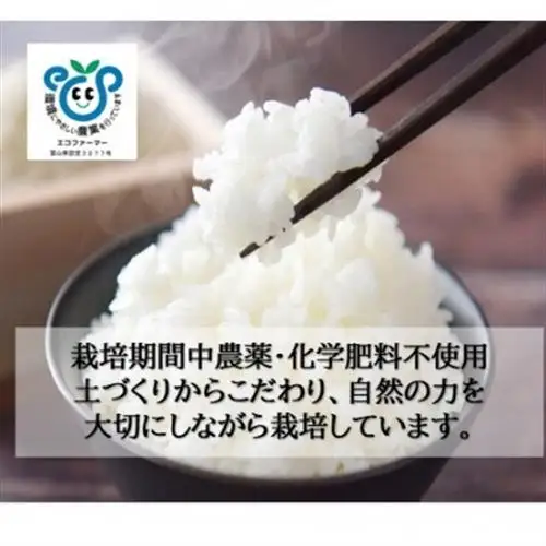 栽培期間中農薬・化学肥料不使用　こしひかり　白米 5kg×4袋(20kg)【1735140】