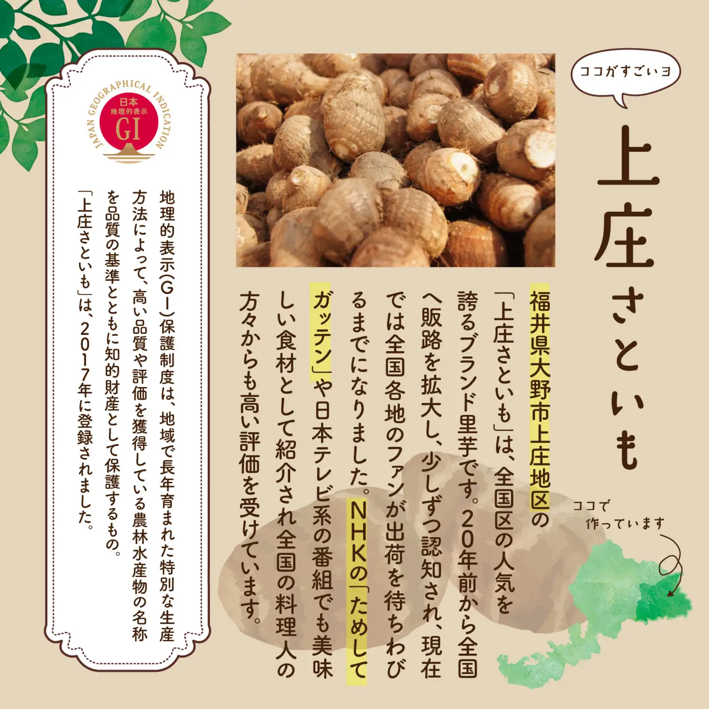 【先行予約】【11月発送分】上庄産さといもの「洗い子」計2.01kg  有機肥料配合　減農薬栽培[A-005006_01]
