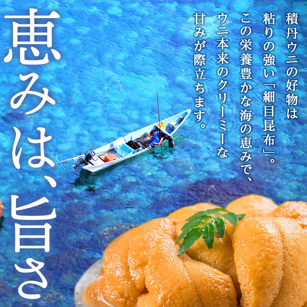 【 2026年 夏発送分】 数量限定 ！積丹産 塩水生うに2パック 海鮮 ウニ 雲丹 塩水【三上商店】