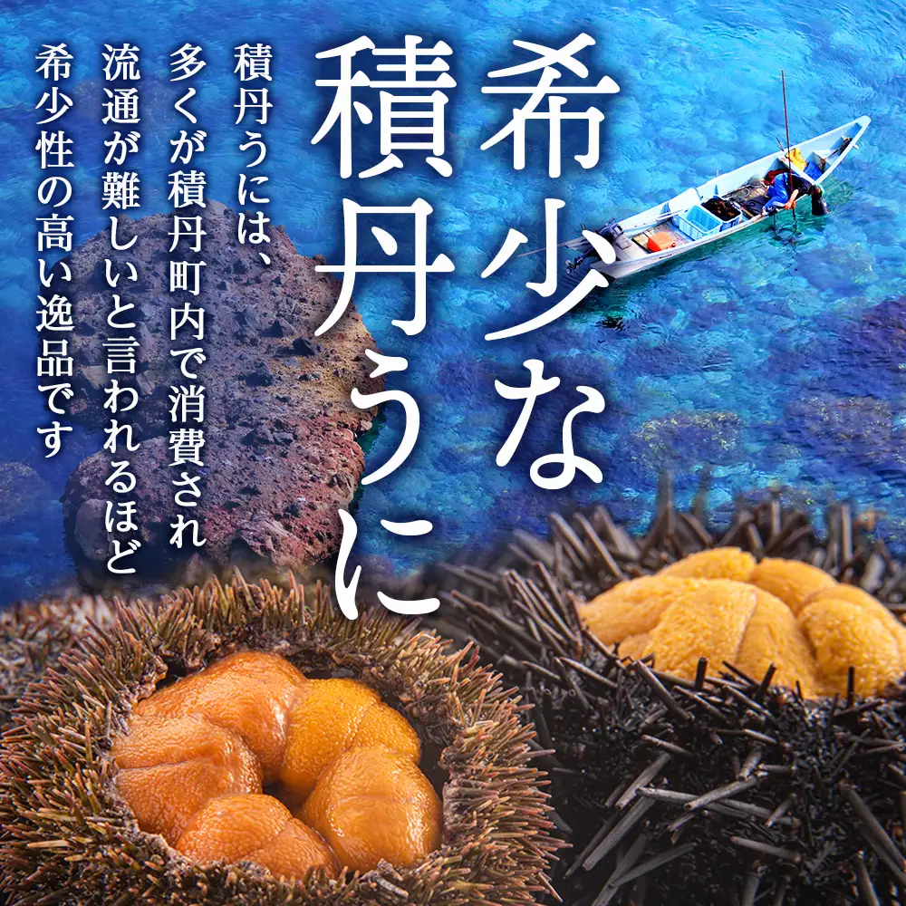 【2026年夏発送分】バフンウニ・ムラサキウニ 各100g×1パック