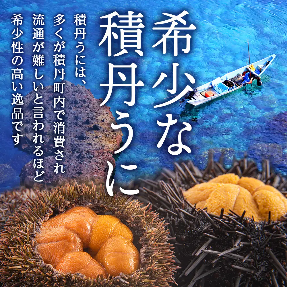 【2027年夏発送分】ムラサキウニ100g×1パック