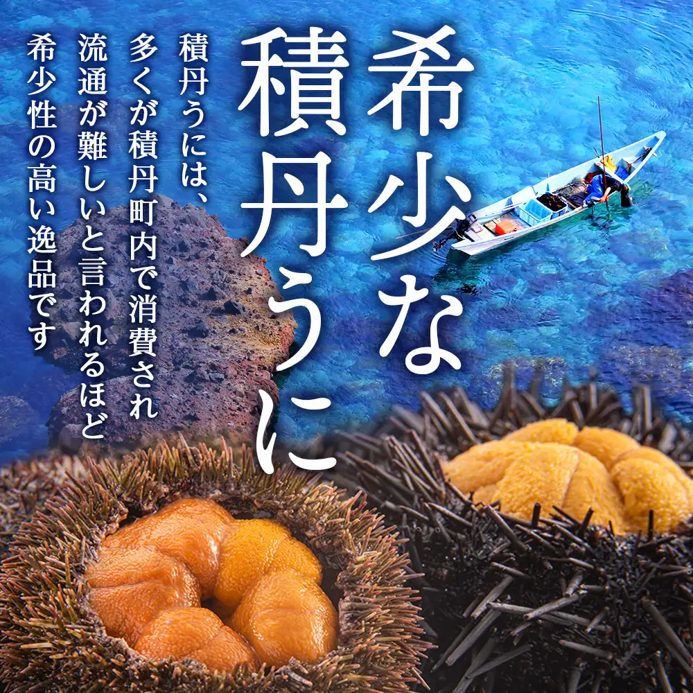 【2026年夏発送分】ムラサキウニ100g×2パック