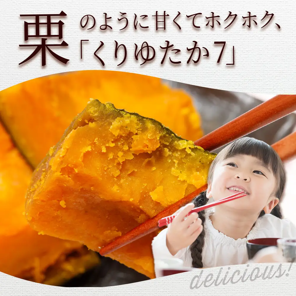 【2026年秋頃発送予約】「くりゆたか7」 かぼちゃ10㎏(5玉～7玉）有機質100％肥料 煮物 天ぷら