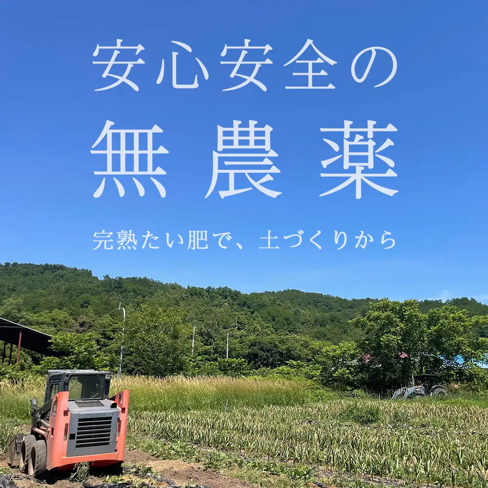 2026年分予約開始！ 【数量限定】渋谷さん家の「無農薬 にんにく MIXサイズ 200gx3袋」