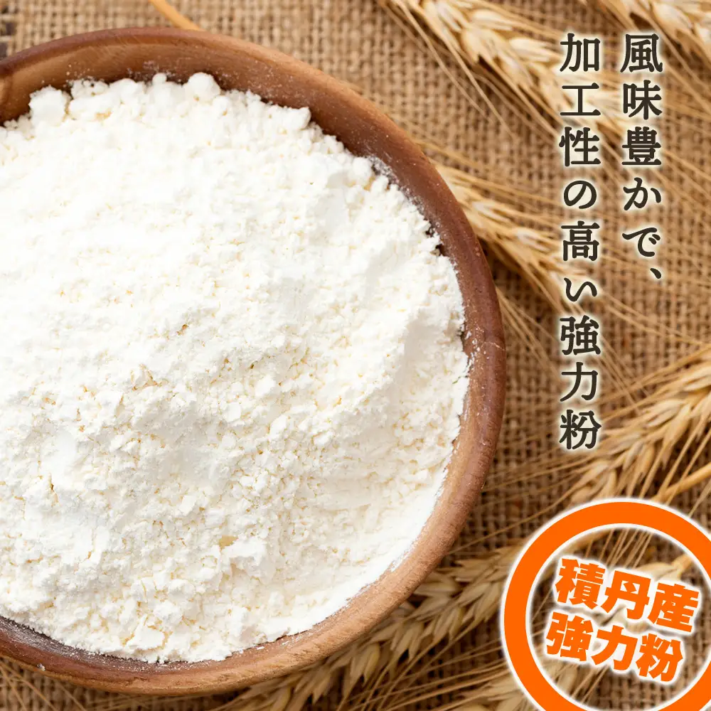 3ヵ月定期便 竹内さんちの小麦粉 強力粉【北海道 春よ恋  2kg×3 袋 保存に便利なチャック付袋！】 小分け お菓子 パン