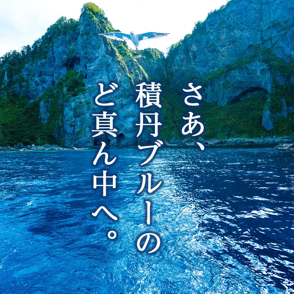 SUP 体験 1名 北海道 海底公園 ガイド付き ドローン 空撮写真