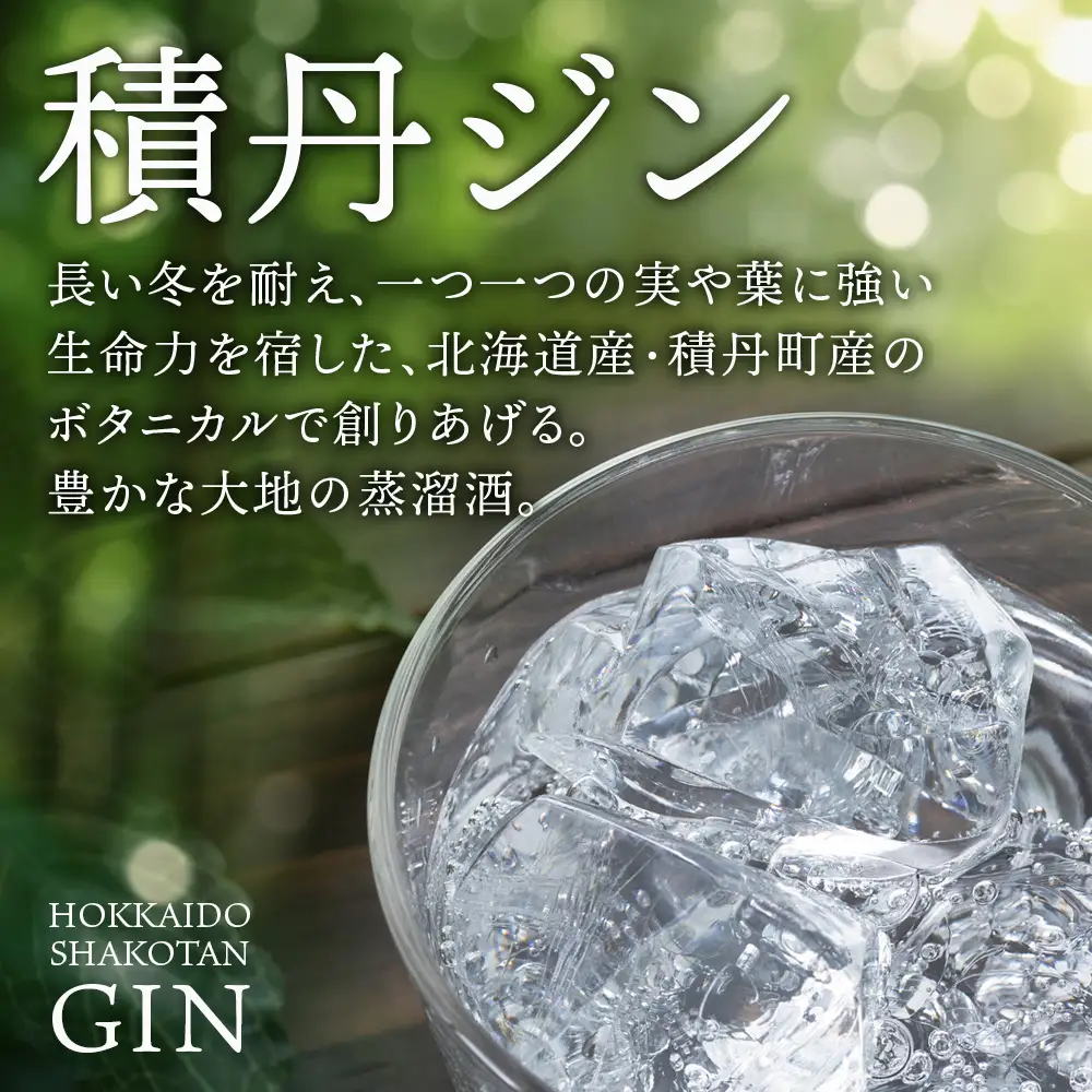 ジン 北海道 積丹 酒 アルコール 火の帆 HONOHO 500ml 5本