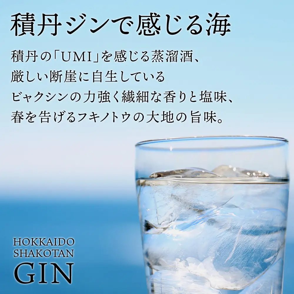 ジン 北海道 積丹 酒 アルコール 火の帆 UMI 500ml 3本　