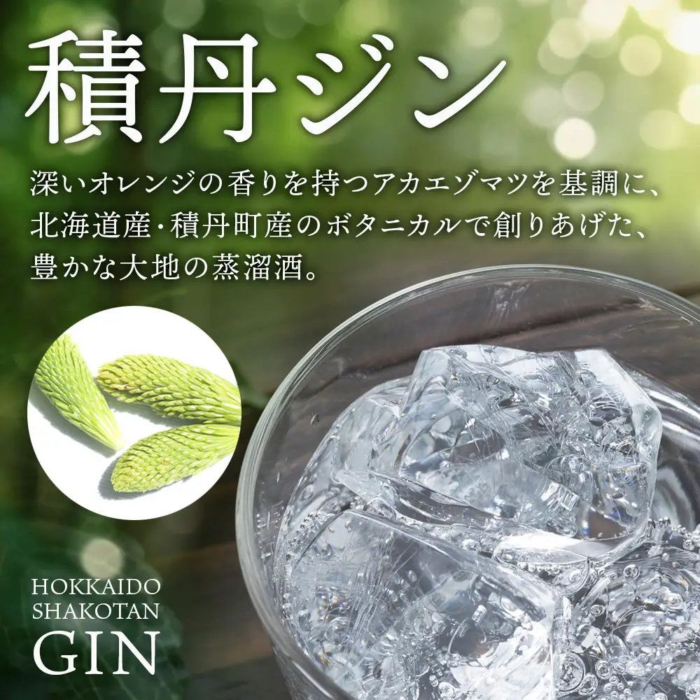 ジン 北海道 積丹 酒 蒸溜酒 アルコール 火の帆 KIBOU GIN 100ml 1本