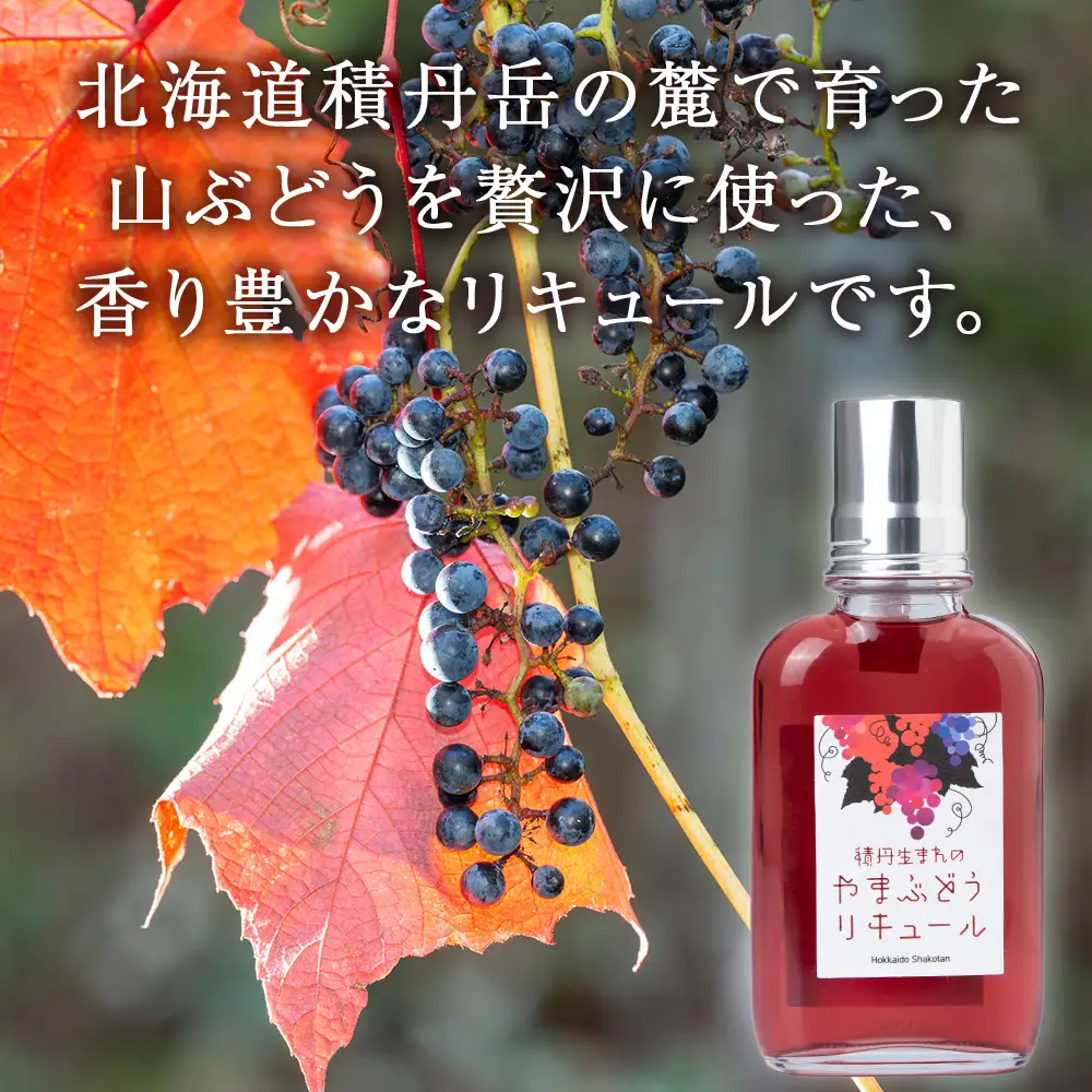 リキュール 山ぶどう お酒 ジン 積丹町