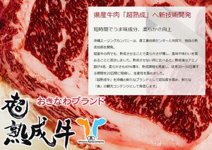 おきなわブランド【超熟成牛】サーロイン