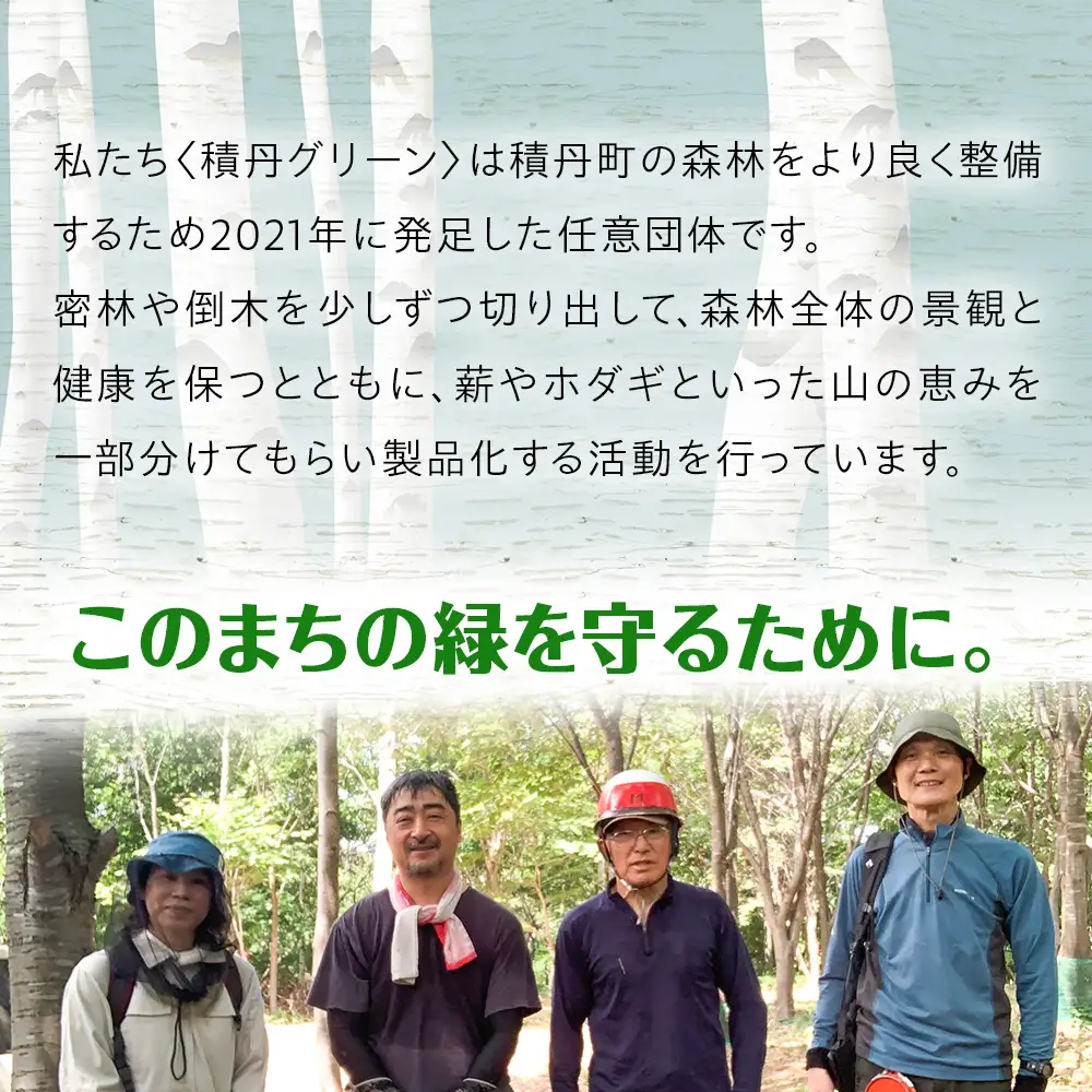 白樺スマホスタンド×1