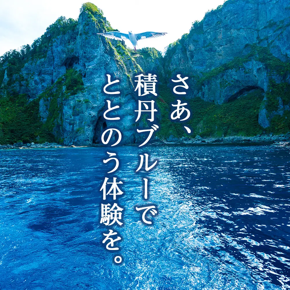 利用券 積丹町 体験 サウナ テント 海 水風呂 4人用テント