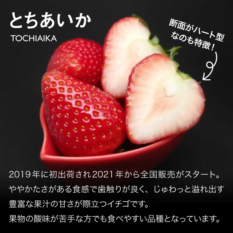 いちご とちあいか 300g×2パック【栃木県共通返礼品】 | いちご イチゴ 苺 とちあいか 生いちご 高級いちご 季節の果物 栃木県産 国産 農家直送 ギフト プレゼント お祝い お返し いちごギフト ※2026年12月～発送