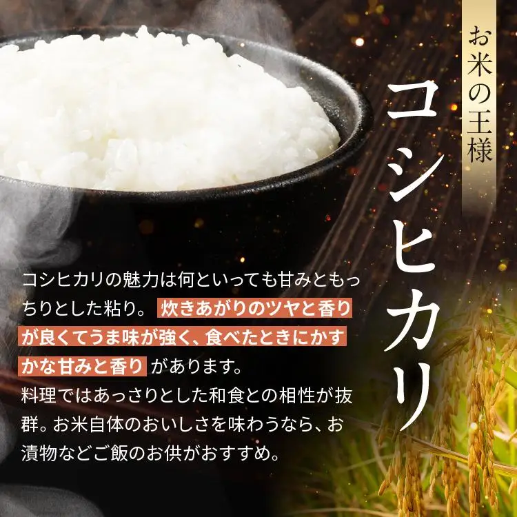 お米 令和8年産 こしひかり 玄米 5kg【2026年産】 | 栃木県共通返礼品 真岡市産