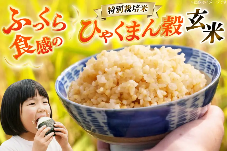 米 令和8年産 特別栽培米 ひゃくまん穀 5kg 玄米