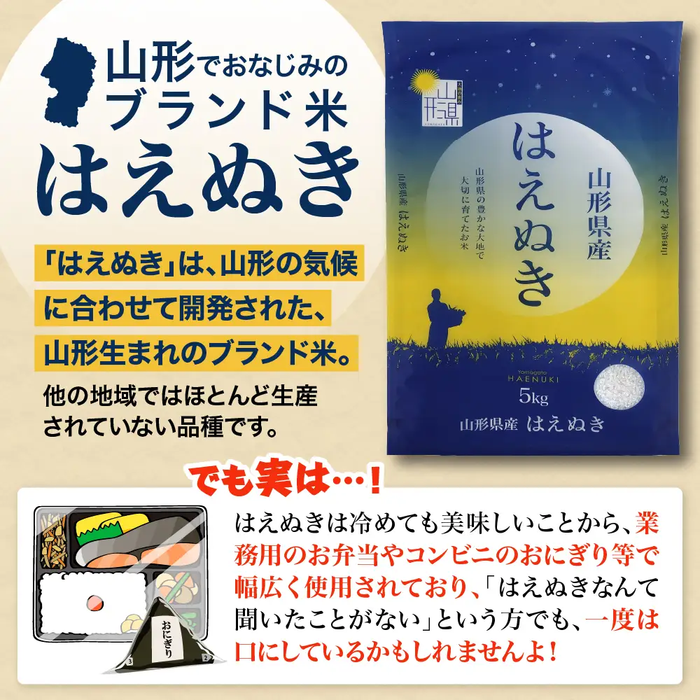【令和8年産米】2026年10月下旬発送 はえぬき60kg（20kg×3ヶ月）隔月定期便 山形県産 【米comeかほく協同組合】 ka024-111d-r8-10023