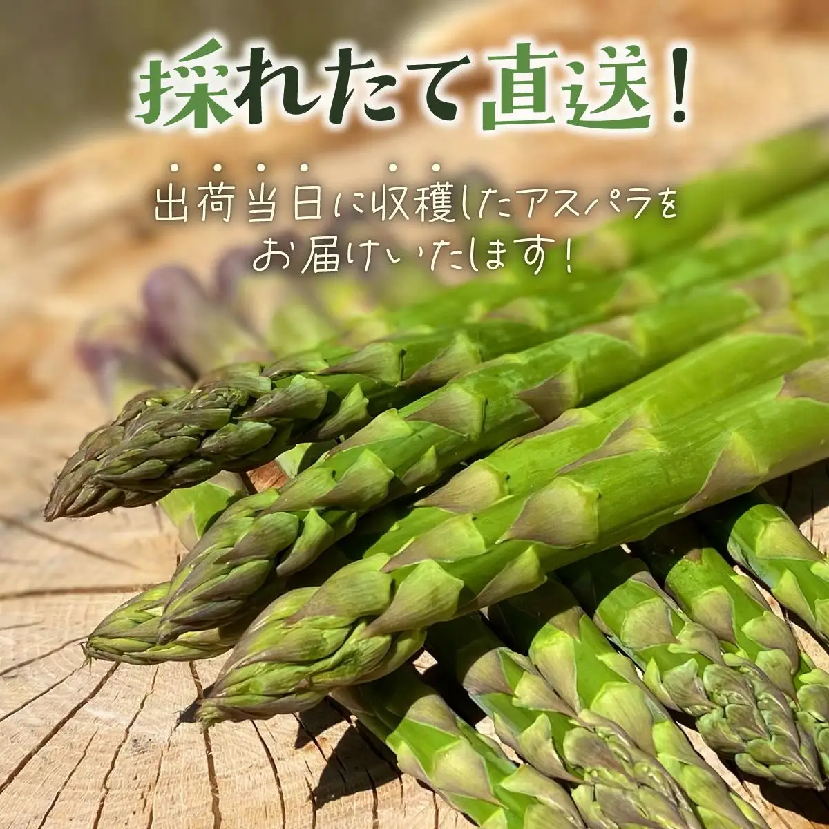 ＜先行予約＞【訳あり品】あまーい！北海道産夏アスパラ 2kg【ffk-007】北海道 伊達市 野菜 新鮮 アスパラガス ふるさと納税 送料無料