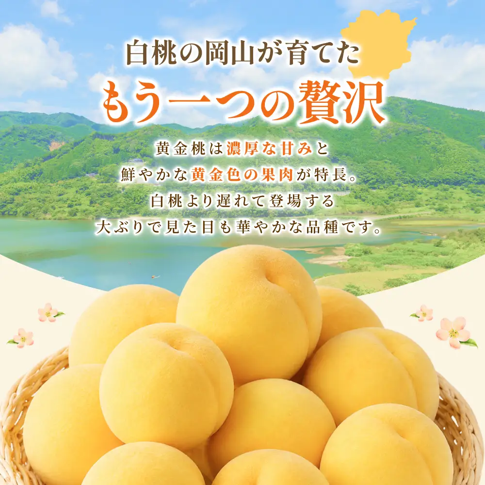桃 岡山県産 化粧箱り黄金桃3.8kg 【hnds010】