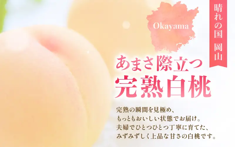 桃 完熟の岡山白桃 約1.4kg（4～6玉）ご家庭用 品種お任せ 【kbmm002】