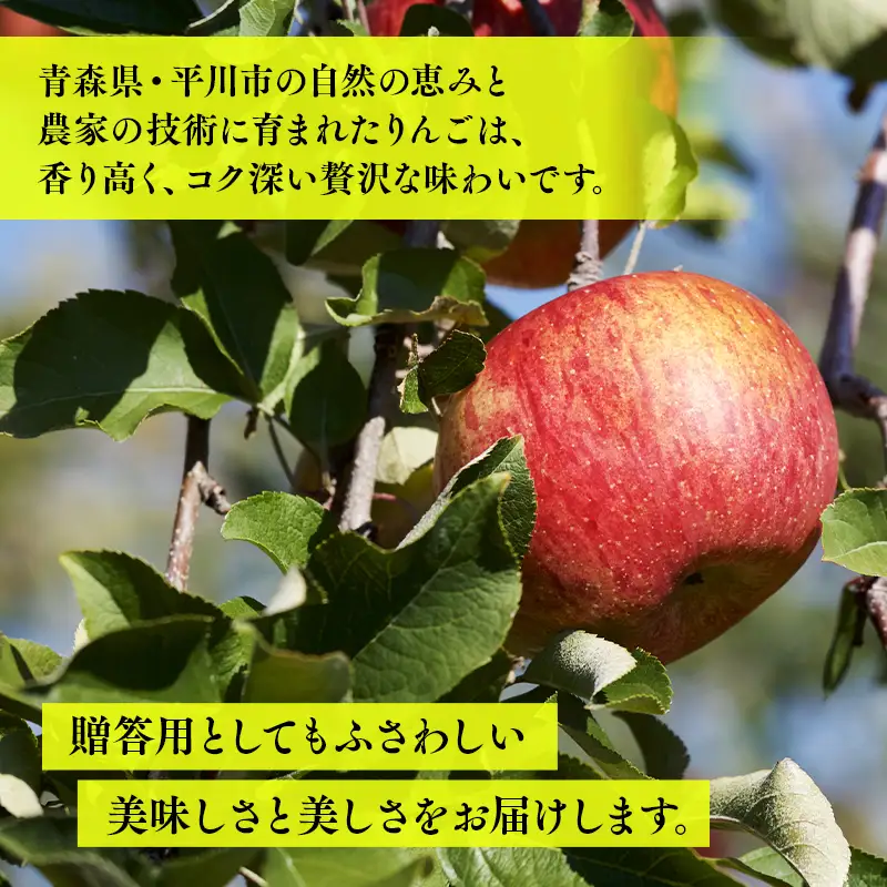 りんご 贈答用美丘3kg【hi-0064-012】