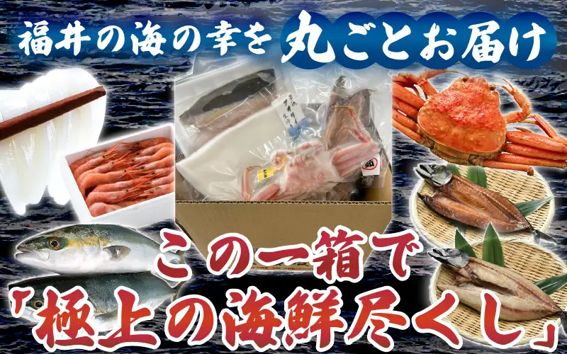 海鮮福袋 満喫セット 5種（カニ エビ イカ サバ ハマチ）【海鮮 絶品】 [m17-d010]