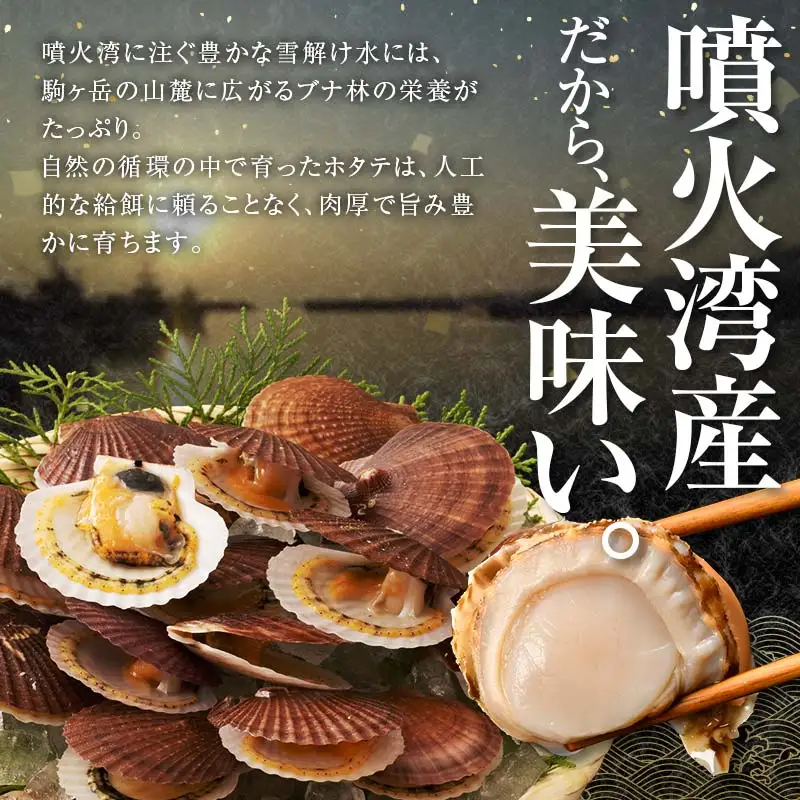【訳あり】北海道・噴火湾産冷凍ボイルほたて（サイズ不選別品） 400g×2 ＜海鮮問屋　株式会社　瑞宝＞ 噴火湾 森町 ほたて 帆立 ホタテ 海産物 魚貝類 ふるさと納税 北海道 mr1-1390