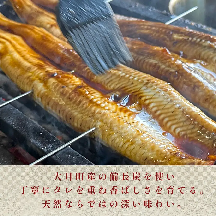 希少 天然 鰻 蒲焼 約1～2人前 200g 国産 四万十川 うなぎ ウナギ  蒲焼き ウナギ蒲焼 鰻蒲焼 うな重 備長炭 炭火 炭火焼き 冷凍 湯せん 小分け 贈答 お取り寄せ ギフトご褒美 簡単 土用の丑の日 高知県 大月町