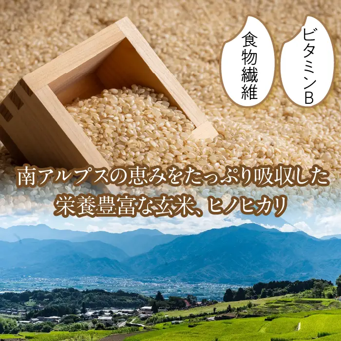 ＜2026年発送先行予約＞南アルプス市産 ヒノヒカリ(玄米) 10kg ALPAA050