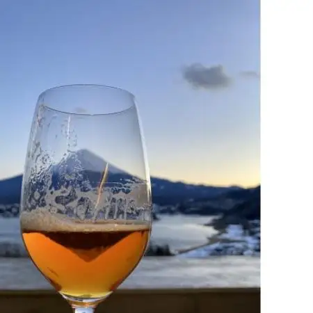 南アルプスの伏流水と富士山麓の針葉樹使用、森のハーブビール3本セット【配送不可地域：離島】【1718563】