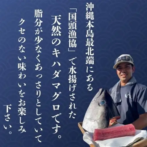 【ふるなびWEEK対象】【沖縄県産】天然キハダマグロ 500g_マグロ_【配送不可地域：離島】【1579280】