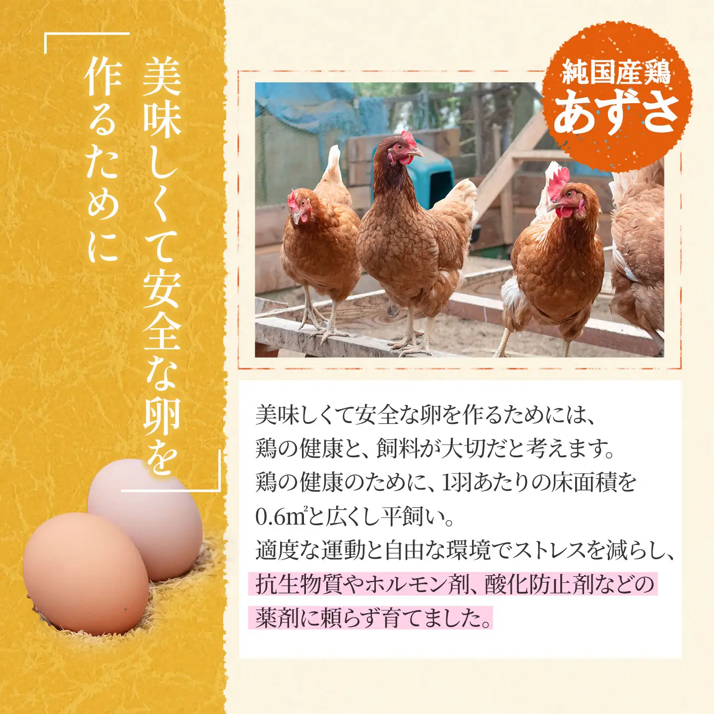 純国産鶏あずさの平飼い卵 40個 (フリーサイズ) 山形県鶴岡市 おーぼ | 卵 たまご タマゴ 玉子 鶏卵 平飼い卵 自然卵 生卵 卵かけご飯 たまごかけご飯 卵かけごはん たまごかけご飯 卵料理 甘み 国産 東北 山形 鶴岡市産 冷蔵 送料無料