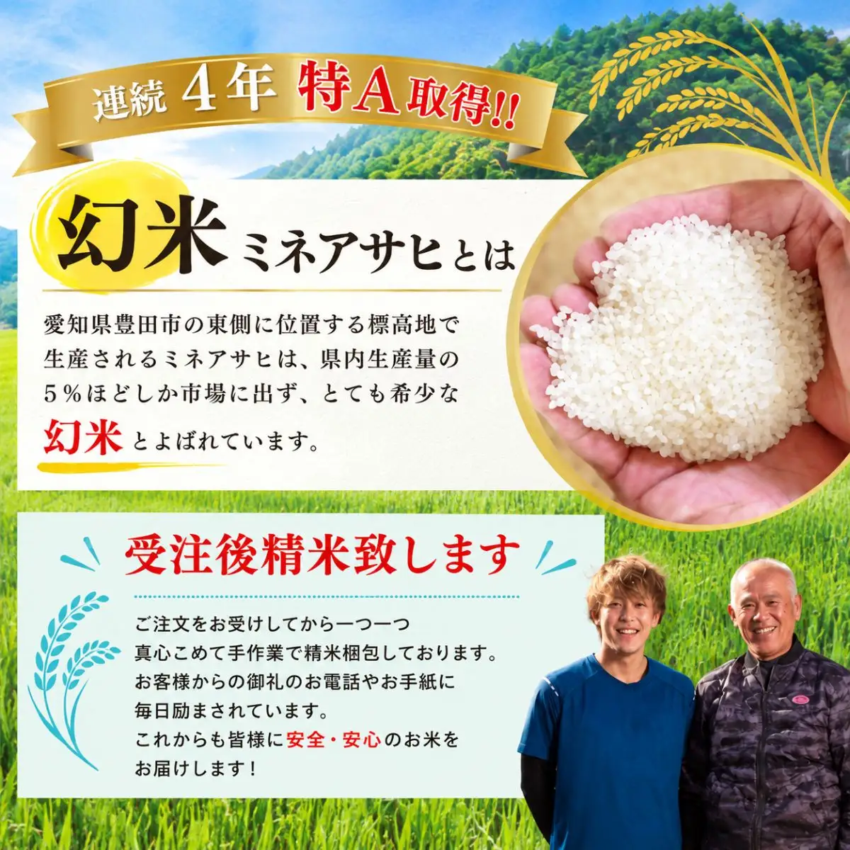 【先行予約】【令和8年産】新米 産地限定山間地ギフト 希少米峰旭 （ ミネアサヒ ） 5kg×2 計10kg 