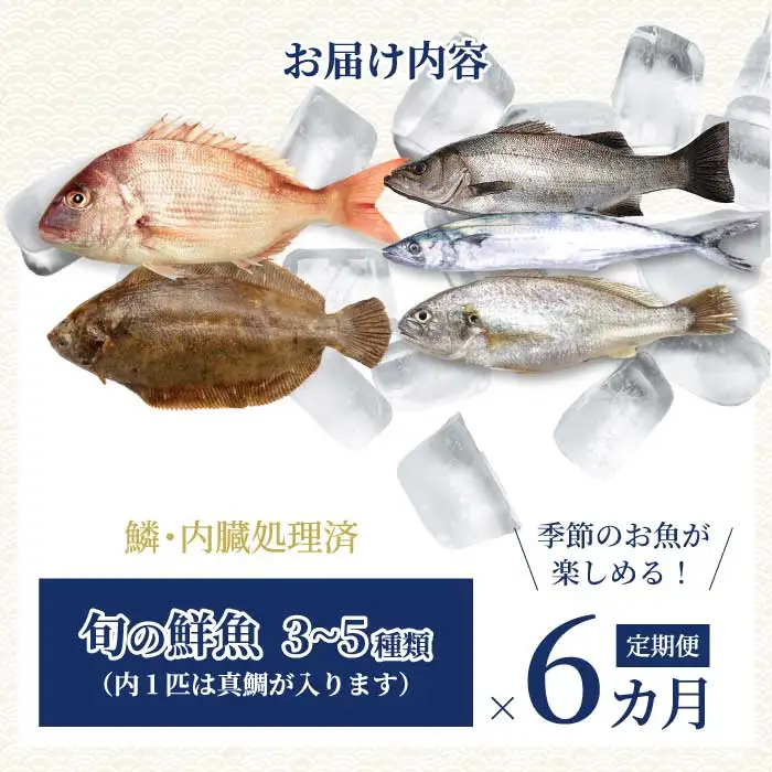 【6か月定期便】瀬戸内産 鮮魚 地魚詰め合わせ（3～5種類）計6回お届け 瀬戸内の天然鯛入り/ 地魚 鯛 天然鯛 真鯛 天然 鮮魚 下処理済 瀬戸内 広島県 三原市　154010